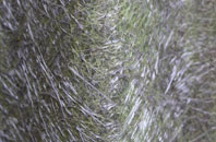 Saxham Street fibreglass roof work